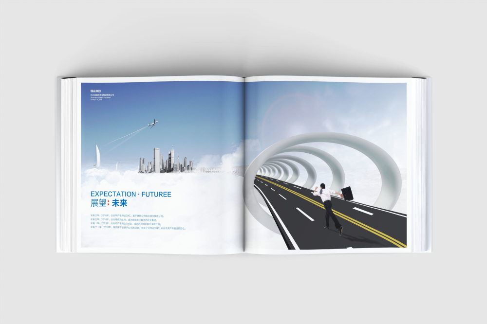 普陀区画册设计